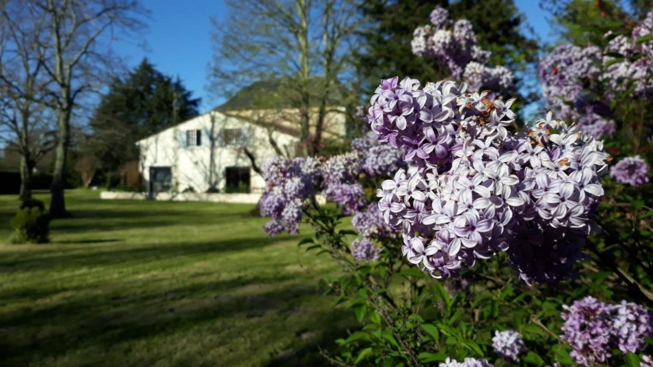 La Maison Du Champ De Beaumont Galgon Exterior foto